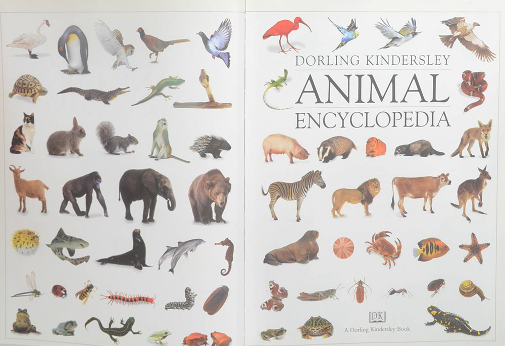 ANIMAL ENCYCLOPEDIA