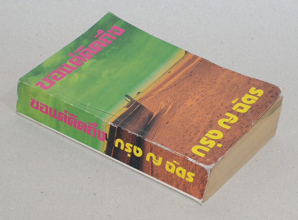 ขอแค่คิดถึง (เล่มเดียวจบ)