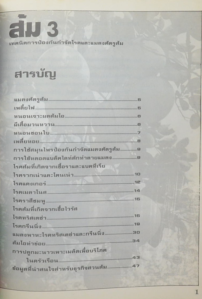 รวมเรื่องการทำสวนส้ม(ไร่ส้ม)
