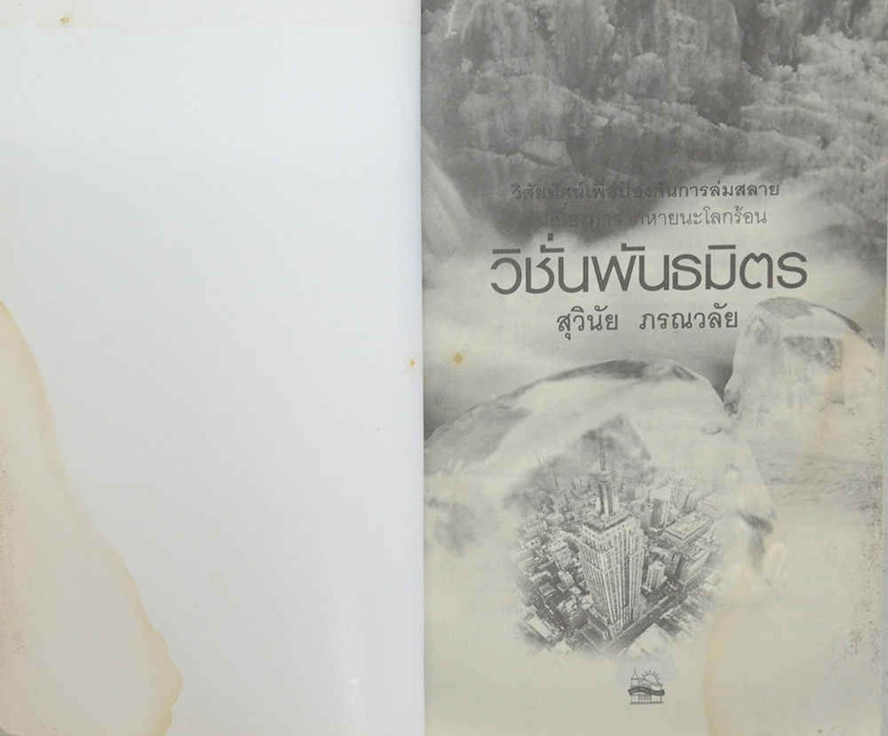 วิชั่นพันธมิตร (ขายตามสภาพ)