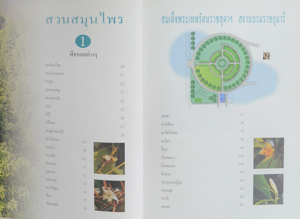 สมุนไพรไทย มรดกไทย