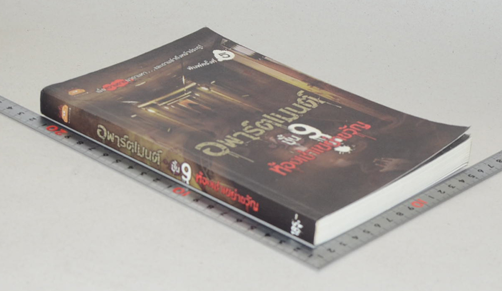 อพาร์ตเมนต์ ชั้น 9 ห้องเช่าเขย่าขวัญ