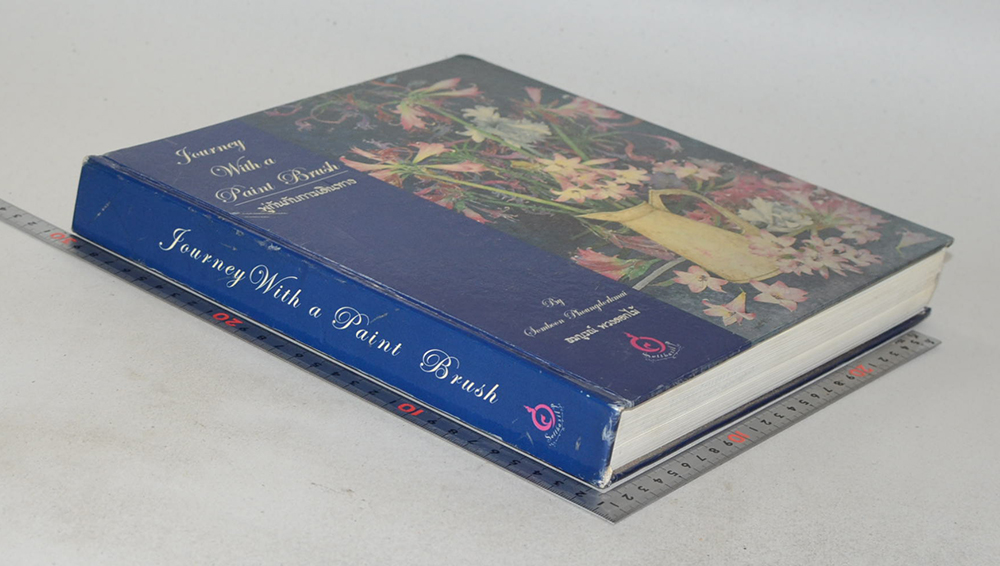 JOURNEY WITH A PAINT BRUSH พู่กันกับการเดินทาง