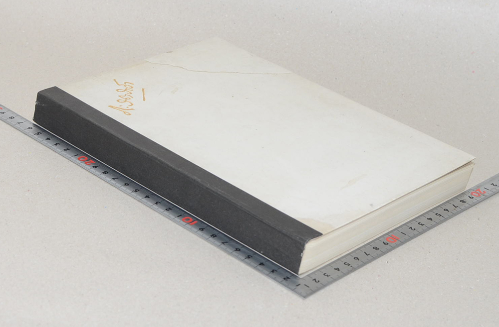 พระยาภะรตราชา (พระมหาปราสาท และ พระราชมณเฑียรสถาน ในพระบรมมหาราชวัง)