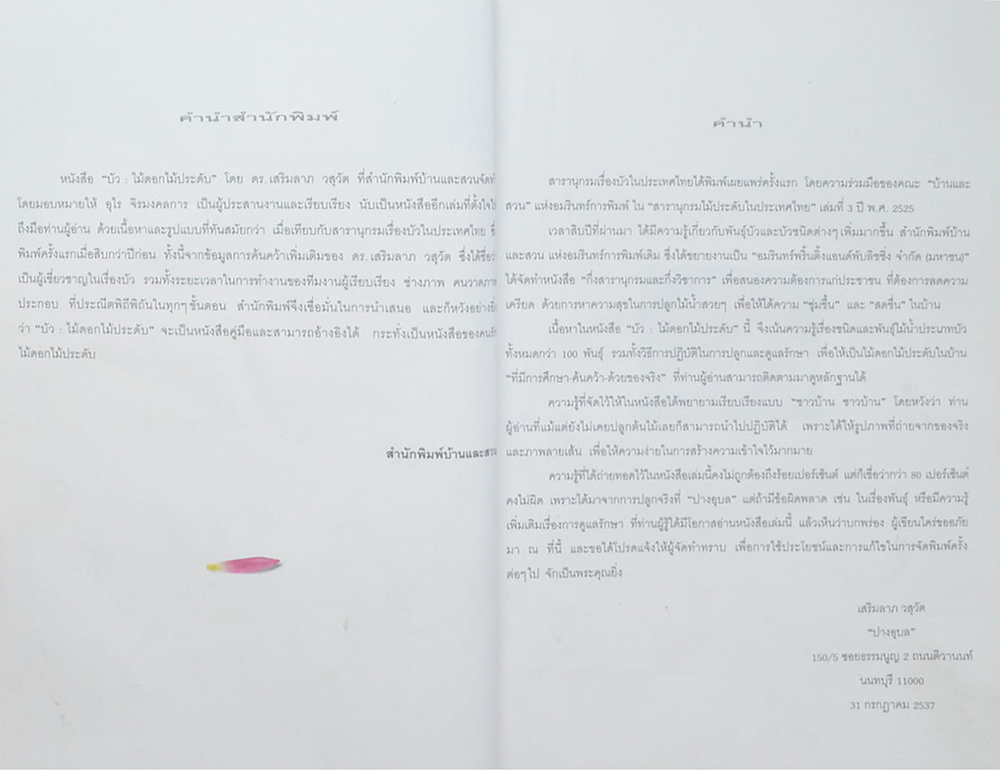 บัว: ไม้ดอกไม้ประดับ (ขายตามสภาพ)