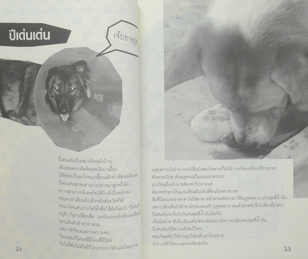 ขำซ่าส์หมากับแมว