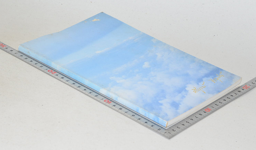 นางศรีบูรณ์ ธีรคุปต์ (สายกลางเพื่อชีวิตและสุขภาพ)