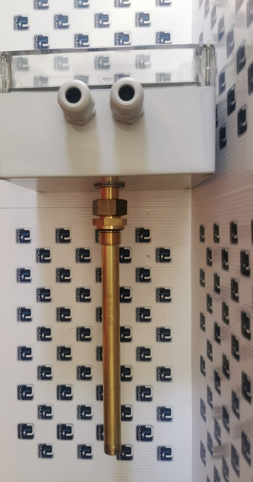 CG Goldammer, Goldammer, Temperature Capillary Tube ,Regulator TR501.85, TR 15-K3-A-FE-200-MS-I