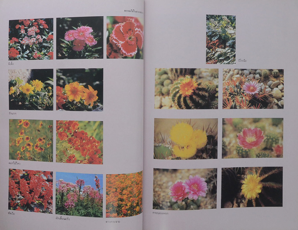 วันต้นไม้ประจำปีแห่งชาติ 2532