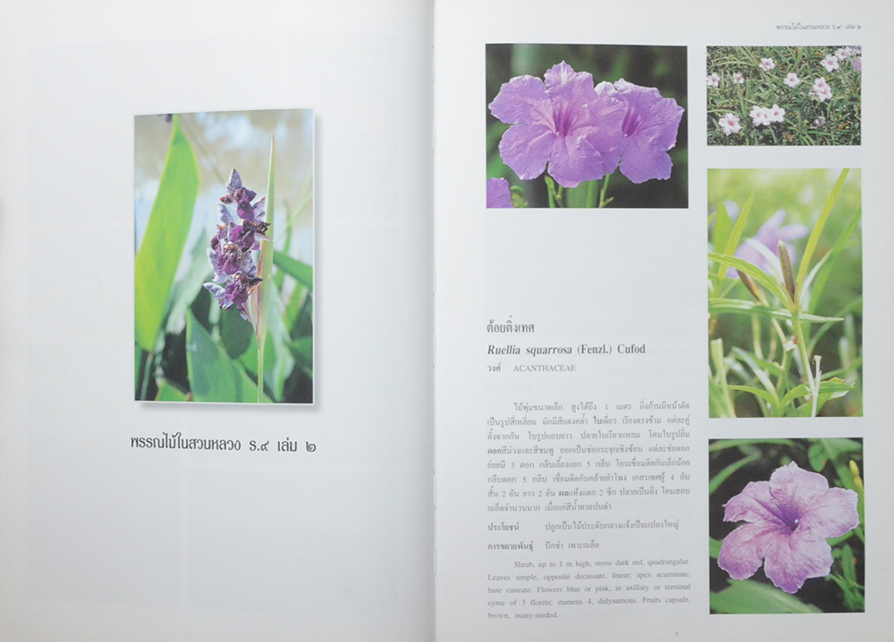 พรรณไม้ในสวนหลวง ร.9 (เล่ม 2 / ขายตามสภาพ)