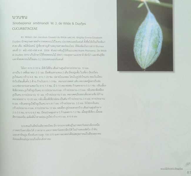 พรรณไม้เกียรติประวัติของไทย