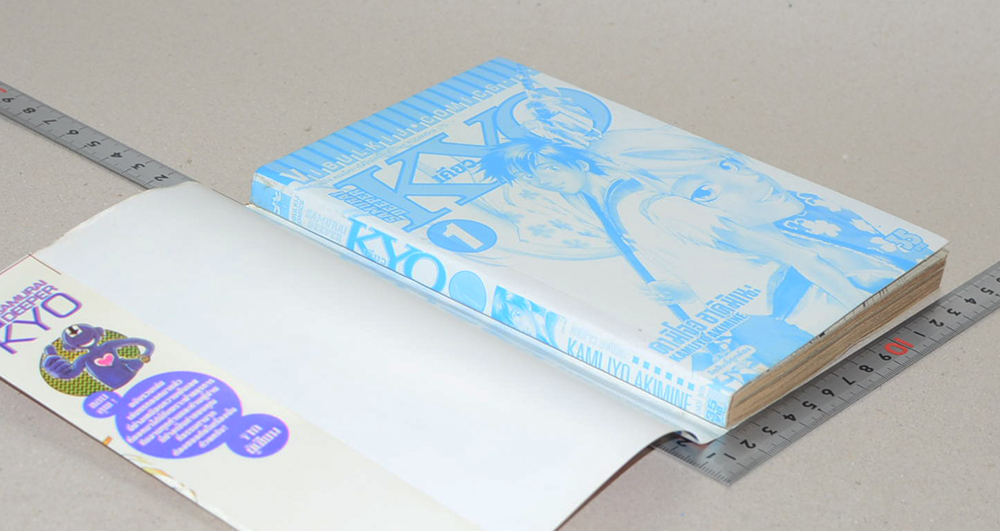 SAMURAI DEEPER KYO (28 เล่ม / ไม่จบ)