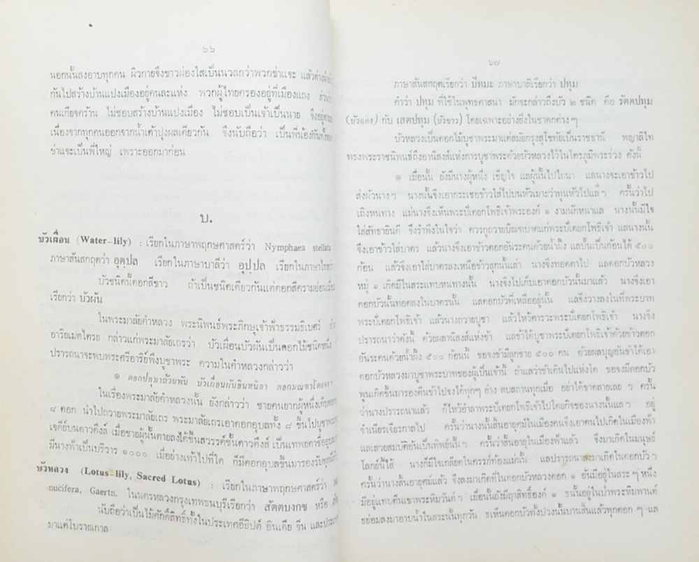 ปทานุกรมพรรณไม้ในตำนานเมือง (ขายตามสภาพ)