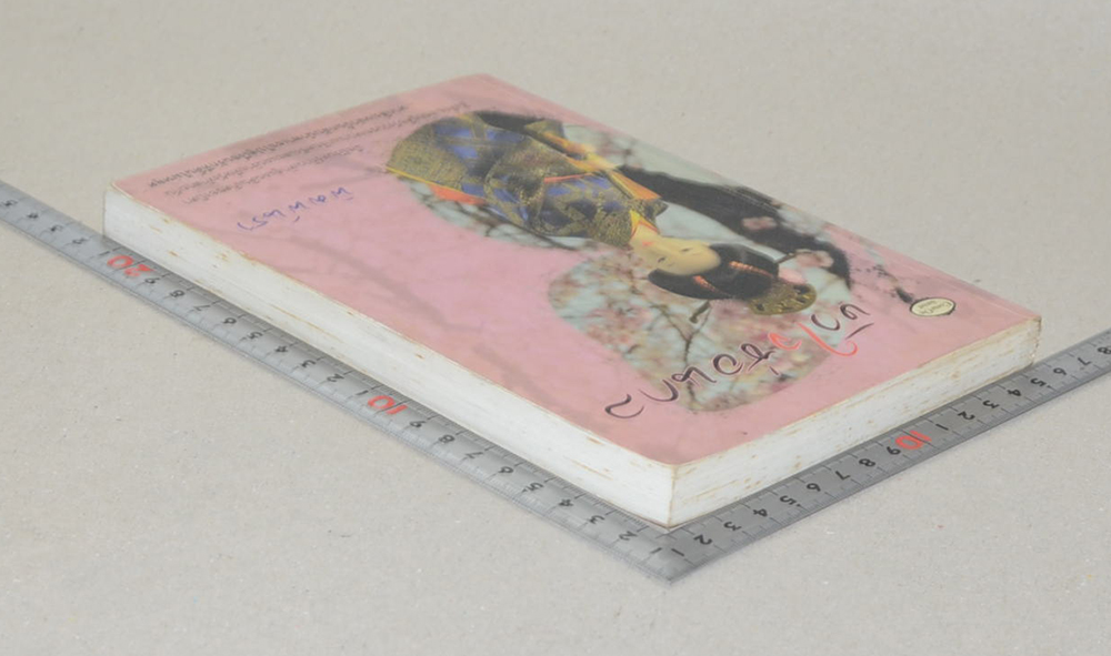 หัวใจซ่อนกล (เล่มเดียวจบ)