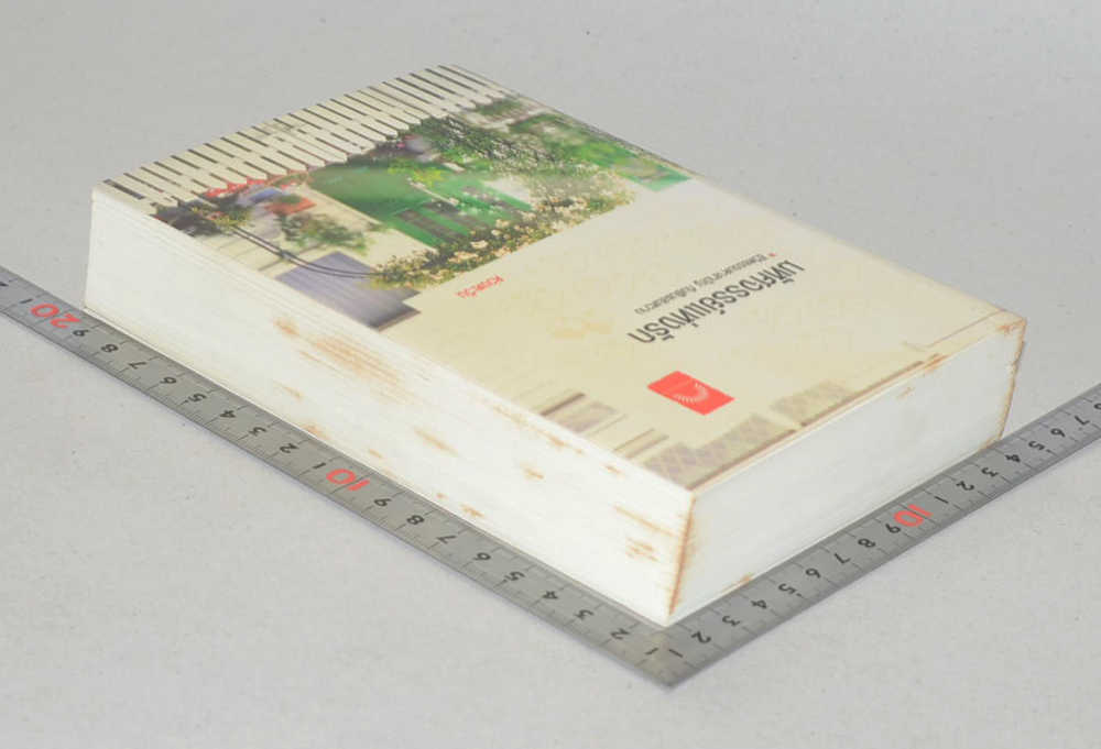 มหัศจรรย์แห่งรัก