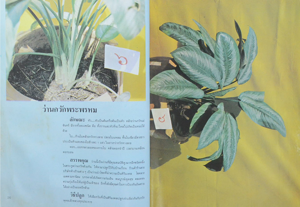 108 ว่านมหัศจรรย์ (เล่ม 2) (ขายตามสภาพ)