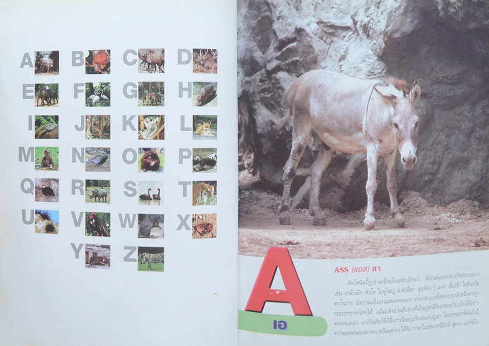 เด็กเรียนรู้สัตว์โลก ABC