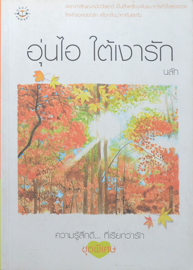 อุ่นไอ ใต้เงารัก