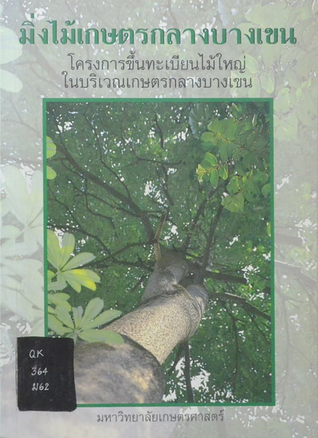 มิ่งไม้เกษตรกลางบางเขน (ขาตามสภาพ)