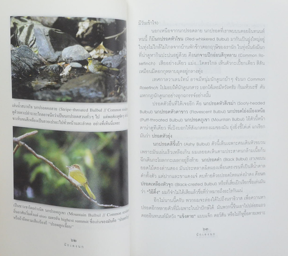 นักเลงนก