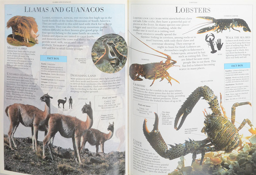 ANIMAL ENCYCLOPEDIA
