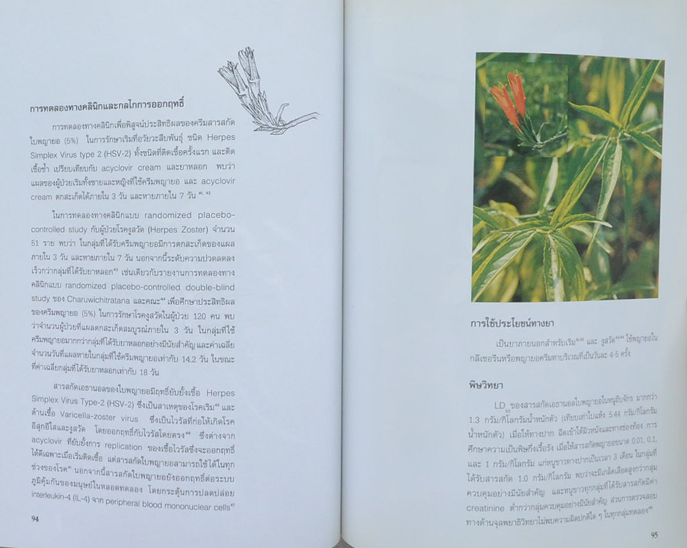 สมุนไพร การพัฒนาเพื่อการใช้ประโยชน์ที่ยั่งยืน