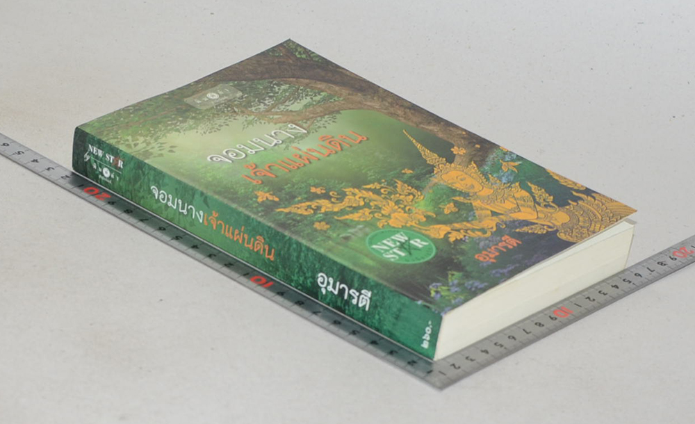 จอมนางเจ้าแผ่นดิน