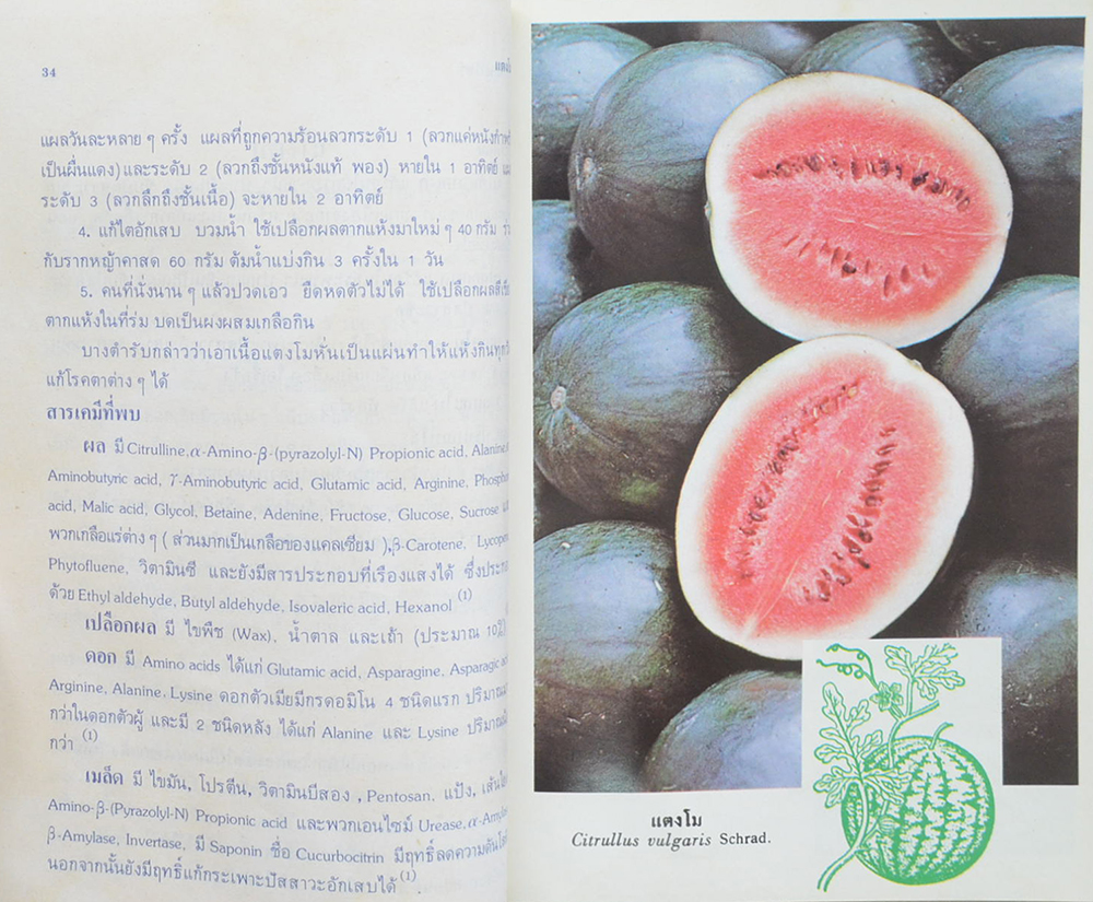 การใช้สมุนไพร (เล่ม 1)