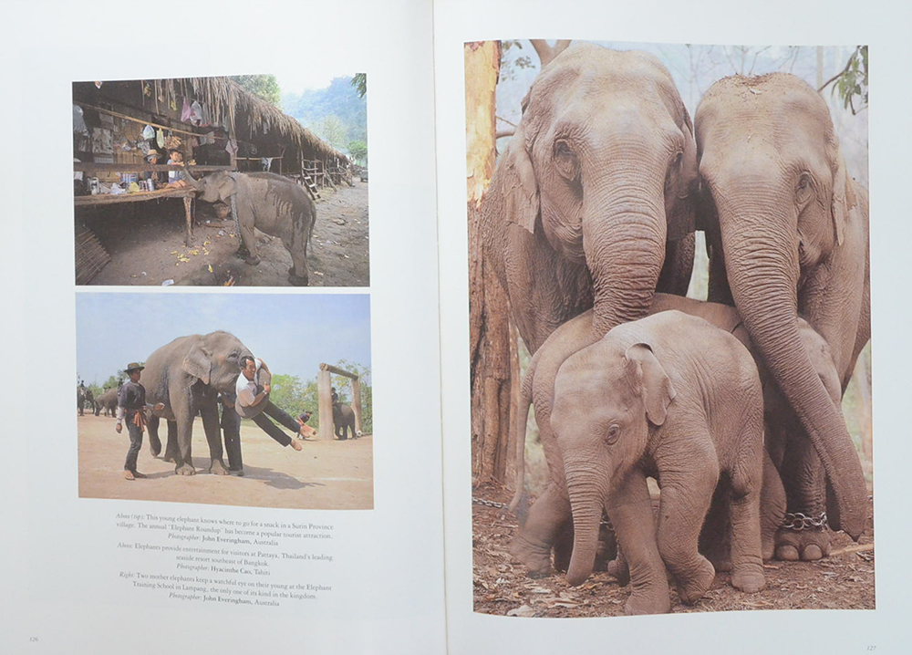 THAILAND SEVEN DAYS IN THE KINGDOM (เล่มใหญ่)