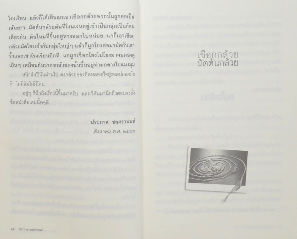 เชือกกล้วยมัดต้นกล้วย