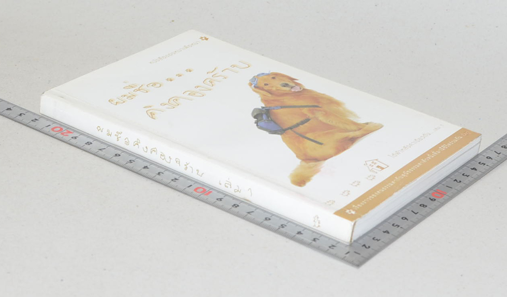 ผมชื่อ...คิงคองคร้าบ