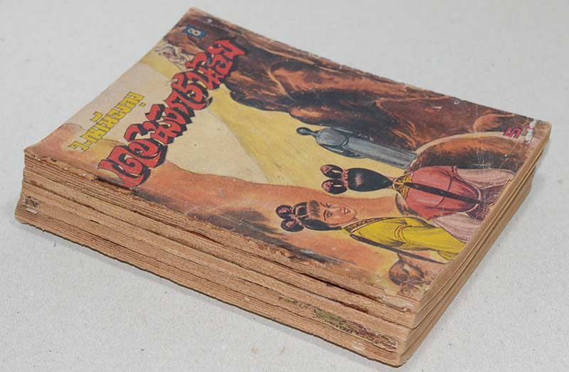 เดชมังกรน้อย (5 เล่ม / ไม่จบ)