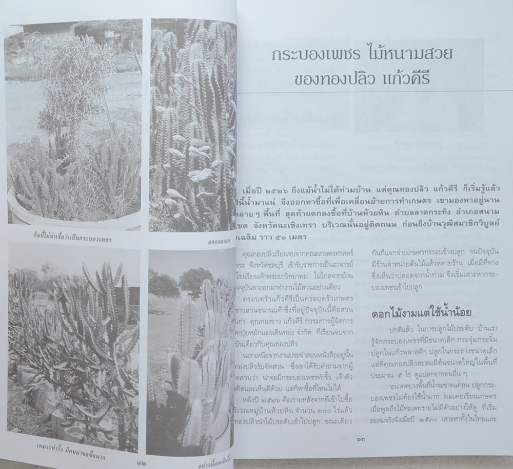 ไม้ประดับเศรษฐกิจ เล่ม 2 (ขายตามสภาพ)