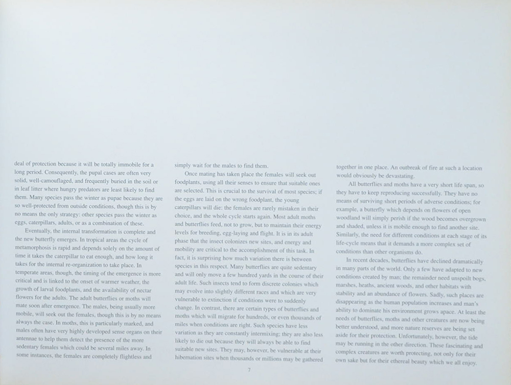 The Fascinating World of Butterflies & Moths