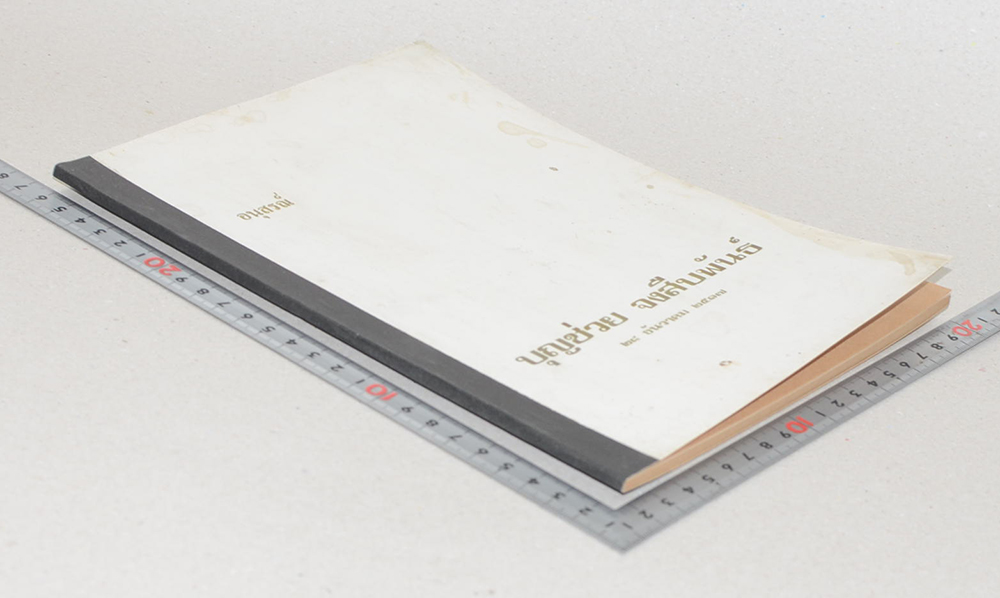 บุญช่วย จงสืบพันธ์ (เรื่องของเมือง เชียงราย เชียงรุ้ง เชียงแสน เชียงใหม่)