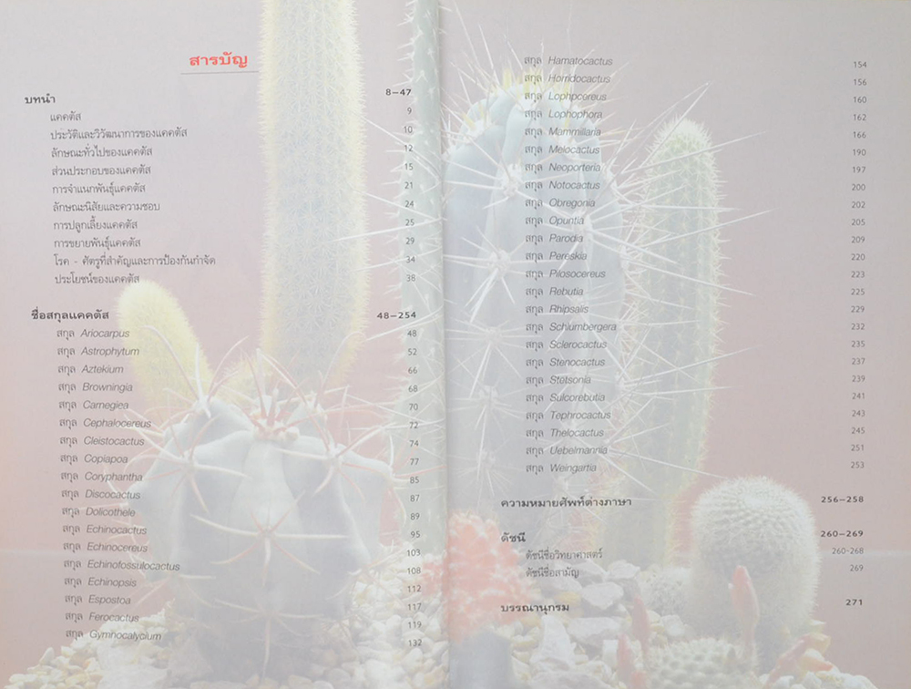 แคคตัส ไม้ดอกไม้ประดับ