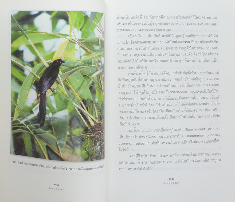 นักเลงนก