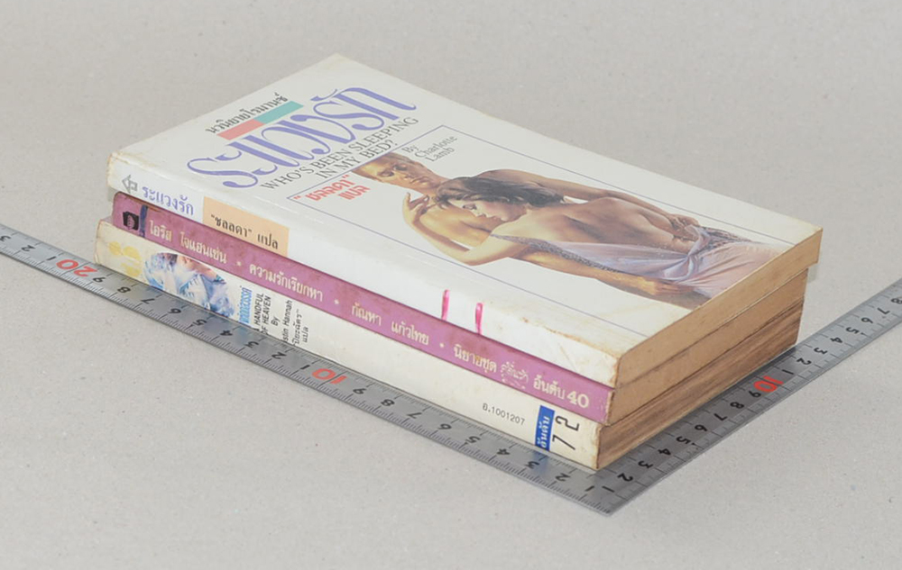 รวมเรื่อง (3 เล่ม / เล่มเล็ก)