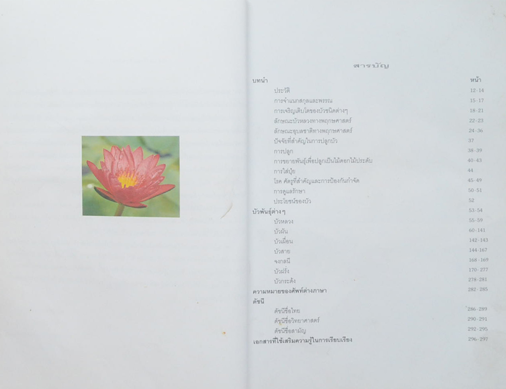 บัว: ไม้ดอกไม้ประดับ (ขายตามสภาพ)