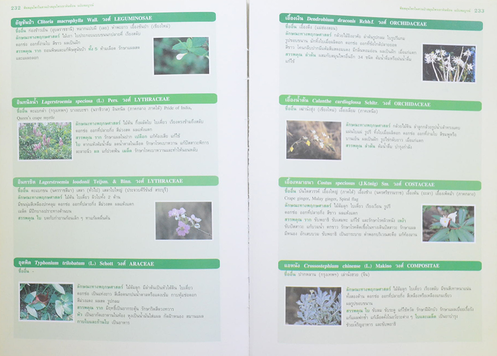 พืชสมุนไพรในสวนป่าสมุนไพรเขาหินซ้อน ฉบับสมบูรณ์ พ.ศ.2550 (ขายตามสภาพ)