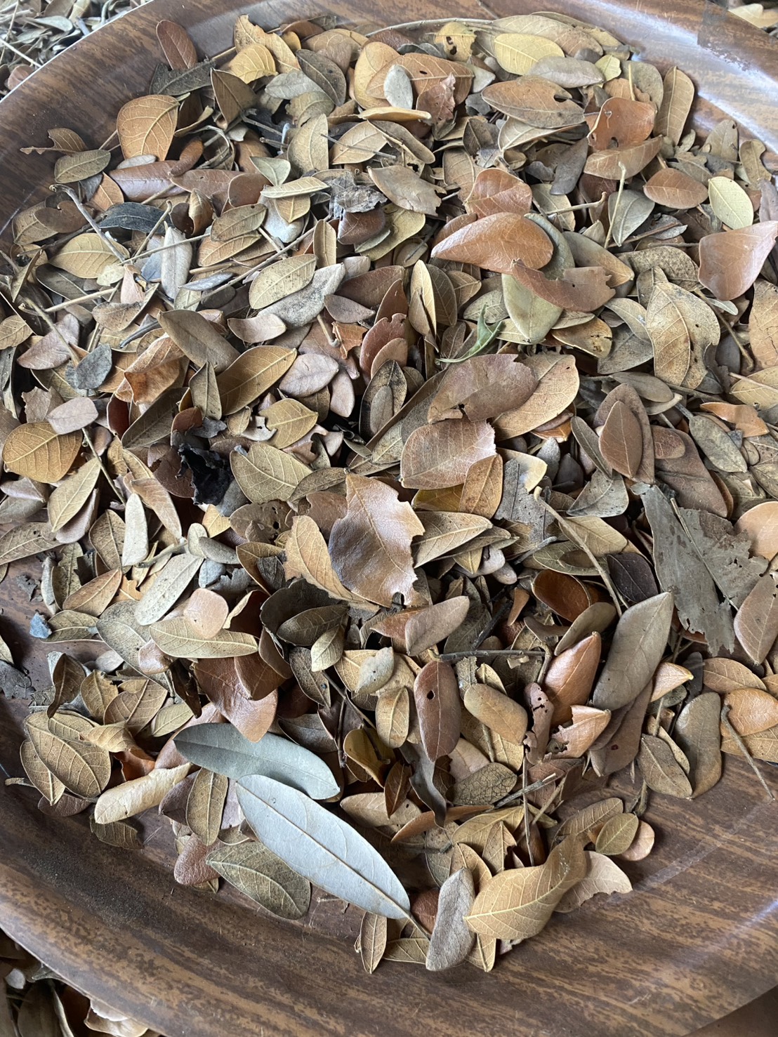 ใบก้ามปูแห้ง ใบจามจุรีแห้ง Claw leaf