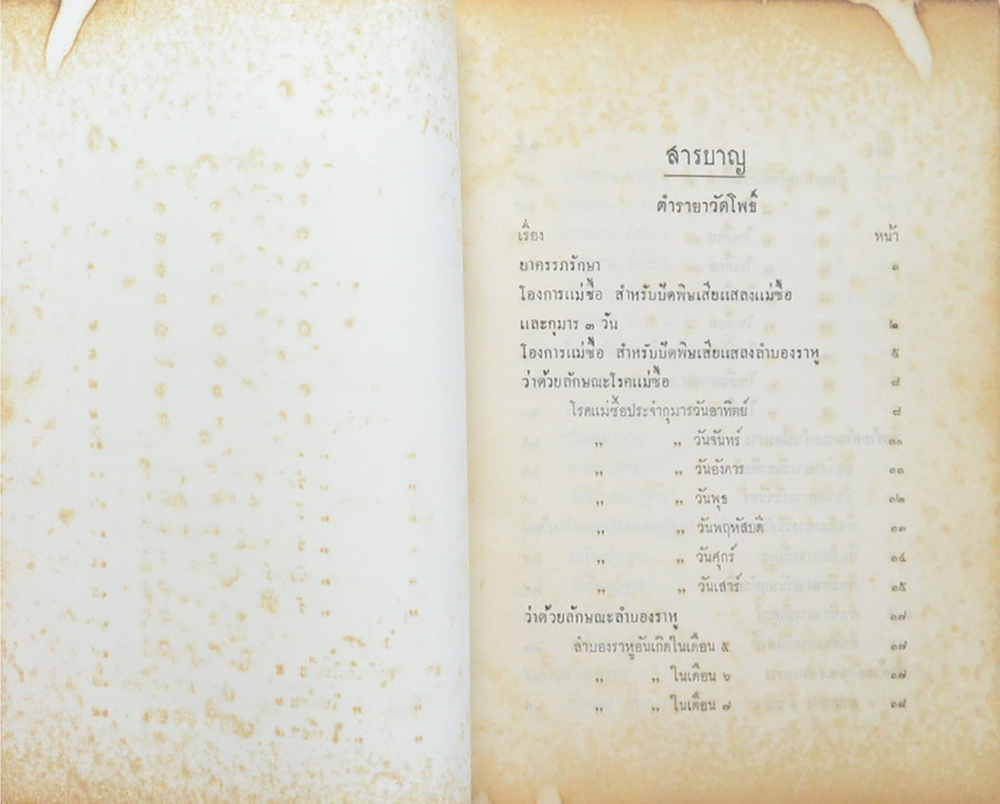 ตำรายา ศิลาจารึกในวัดพระเชตุพนวิมลมังคลาราม (วัดโพธิ์)พระนคร