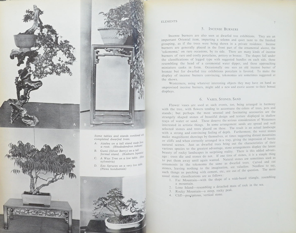 A DWARFED TREE MANUAL for WESTERNERS