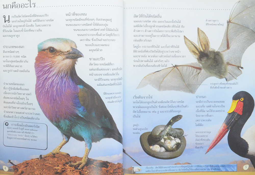 โลกของนก (ขายตามสภาพ)