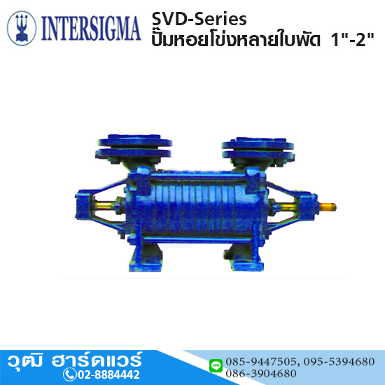 INTERSIGMA SVD-Series ปั๊มหอยโข่งหลายใบพัด 1"-2"