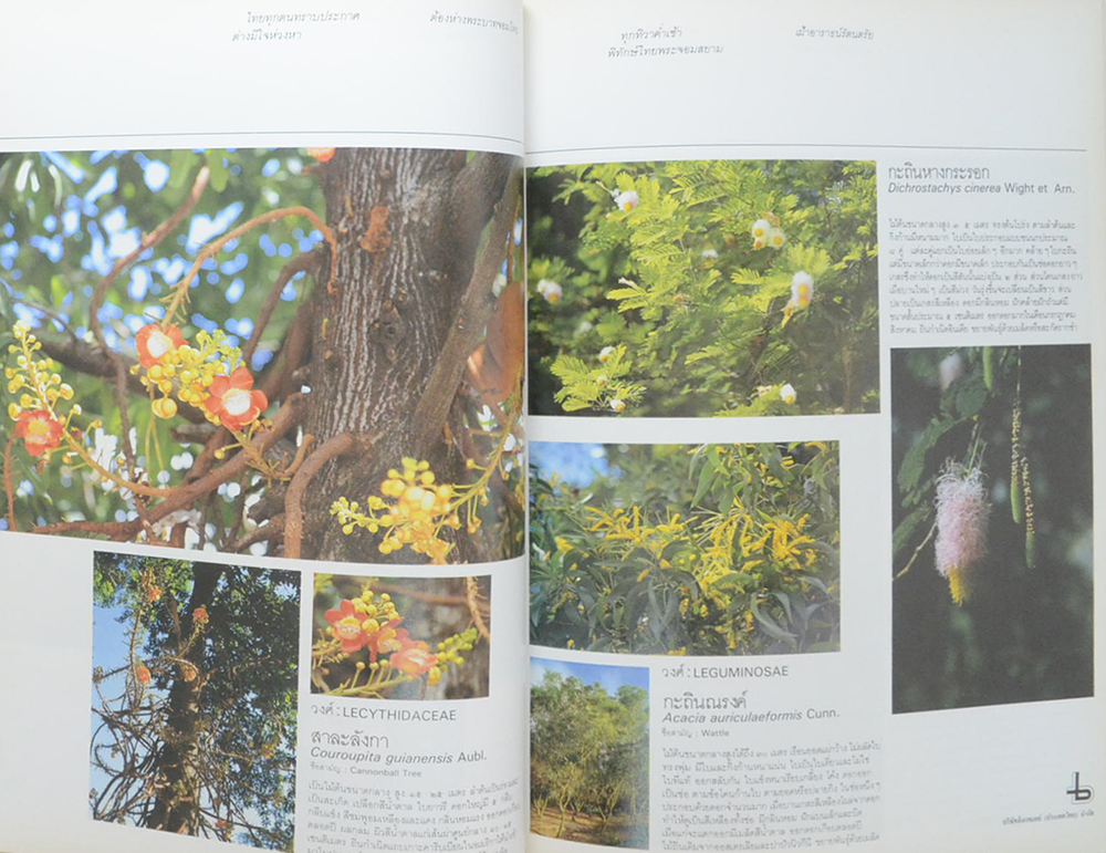 พรรณไม้ในสวนหลวง ร.9