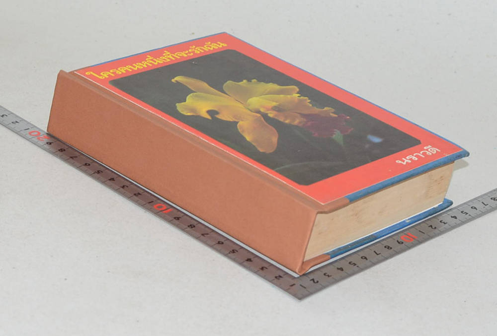 ใครคนหนึ่งที่จะรักฉัน (เล่มเดียวจบ)