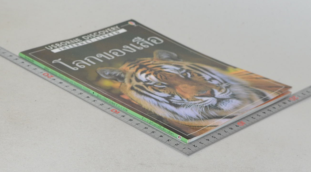 โลกของเสือ (ขายตามสภาพ)