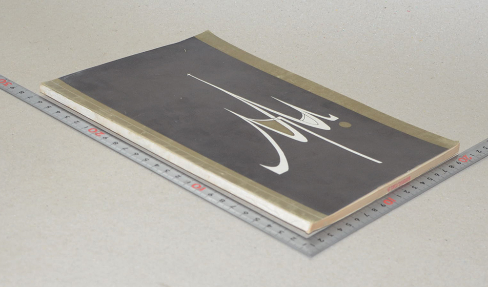 ภาณุ วิทยนคร (บทบาททางการทูตและการสงครามในความสัมพันธ์ระหว่างชาติ )