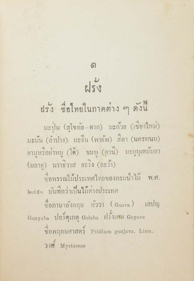 การทำไร่ฝรั่ง (ขายตามสภาพ)